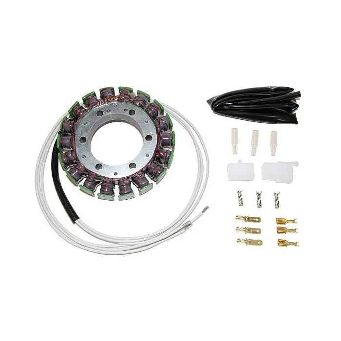 ElectroSport Stator ESG09 (Stück) Solange Der Vorrat Reicht
