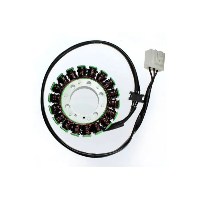 ElectroSport Stator ESG138 kawasaki (Stück) Sichere Zahlung