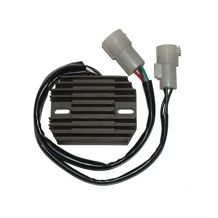 Jetzt Bestellen ElectroSport Laderegler ESR 516 kawasaki (Stück)
