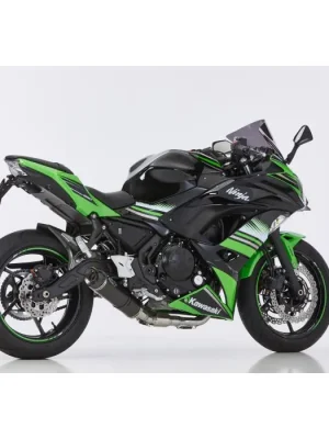 Preiswert SHARK Street GP Komplett Anlage (2-1) Carbon EG-BE passt für KAWASAKI Ninja 650(21-22)/Z650(21-22)/Z650 RS(22-23)