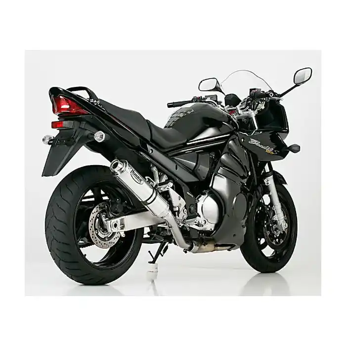 Markenprodukt HURRIC Supersport Auspuff silber EG-BE passt für SUZUKI GSF 600 Bandit(95-99)/GSF 600 Bandit(00-04)/GSF 600 Bandit S(96-99)/GSF 600 Bandit S(00-03)