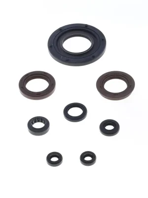 Finale Aktion Motor-Dichtring-Kit - P400510400255