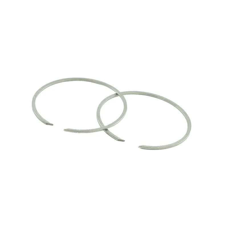 Anello di sicurezza per anello di tenuta WP48 (set) Top-Preis