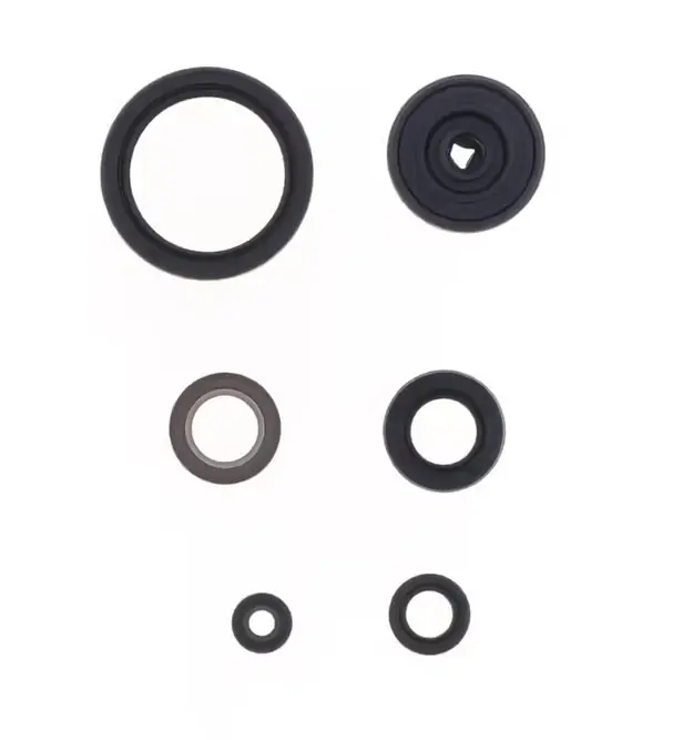 Direktkauf Engine Gasket Kit - P400485400272