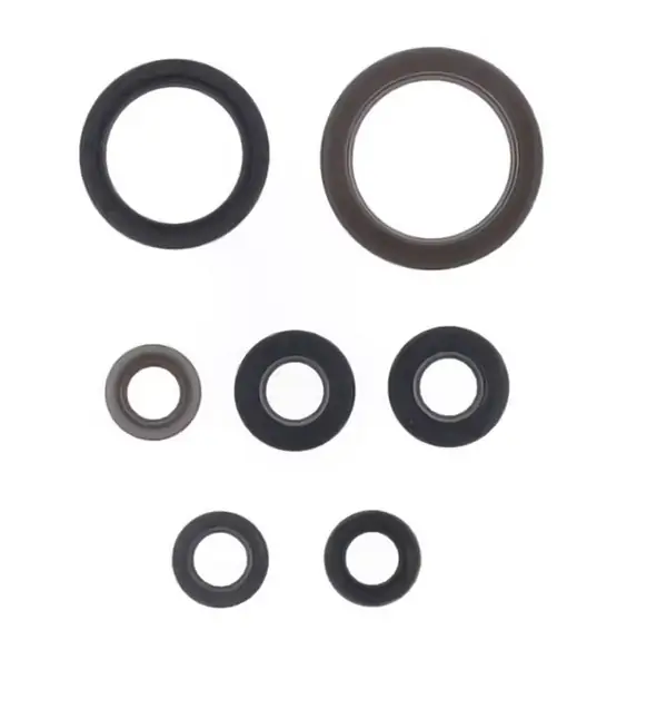 Saisonangebot Engine Gasket Kit - P400270400098