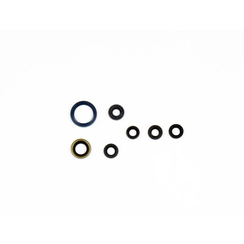 Kit guarnizioni motore - P400250400066 Markenware