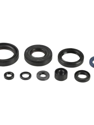 Motor-Dichtring-Kit - P400250400137 Mega-Angebot