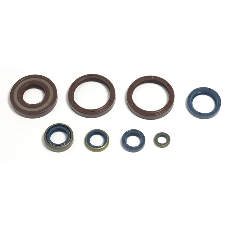 Engine seal kit - P400220400252 Preisreduziert