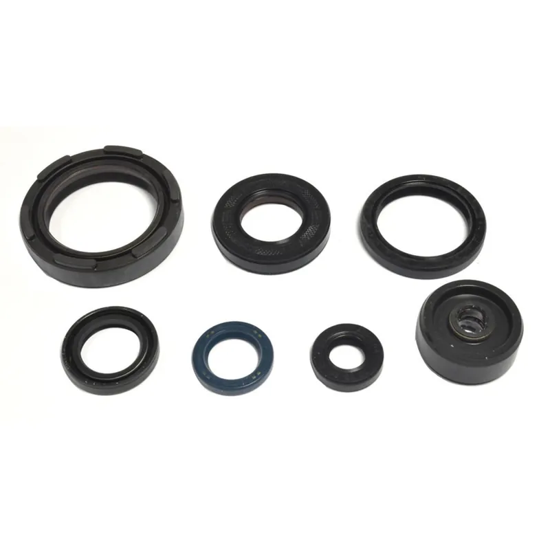 Neuheit Engine seal kit - P400485400254