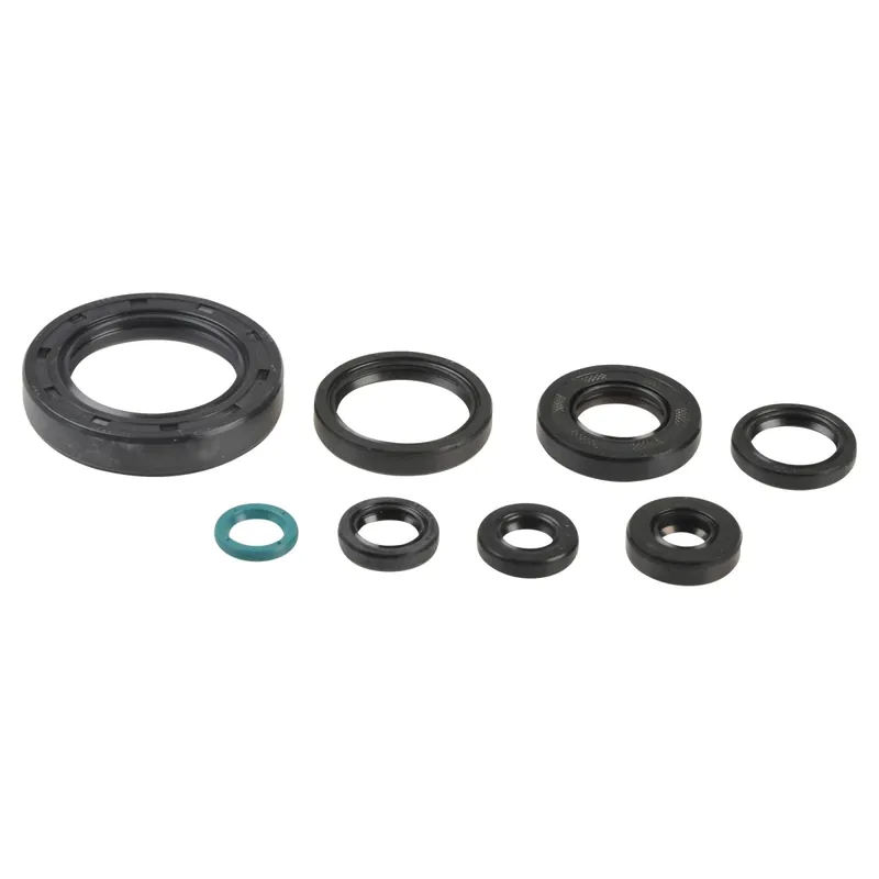 Kit de joints d‘étanchéité moteur - P400210400252 Versand Am Gleichen Tag