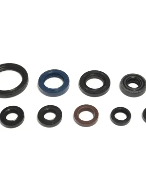 Kit guarnizioni motore - P400485400404 Sichere Zahlung