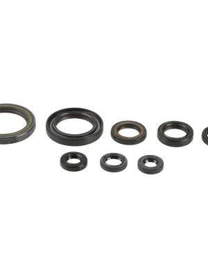 Preisreduziert Motor-Dichtring-Kit - P400210400202