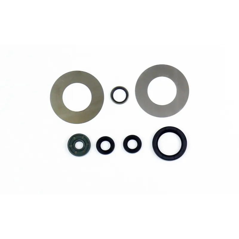 Engine seal kit - P400270400081 Versand Am Gleichen Tag