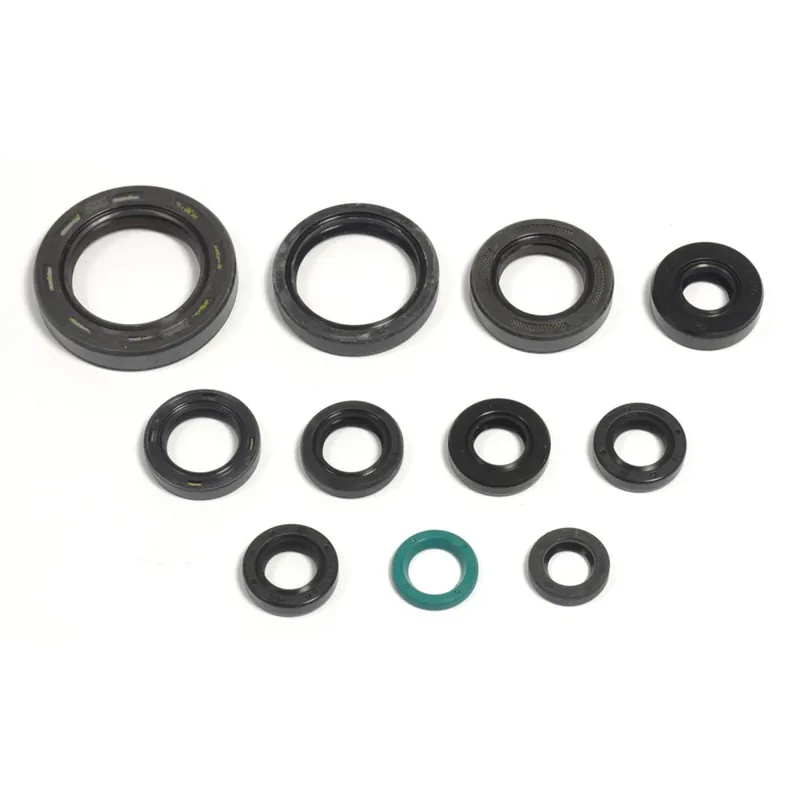 Rabatt Kit de joints d‘étanchéité moteur - P400210400096