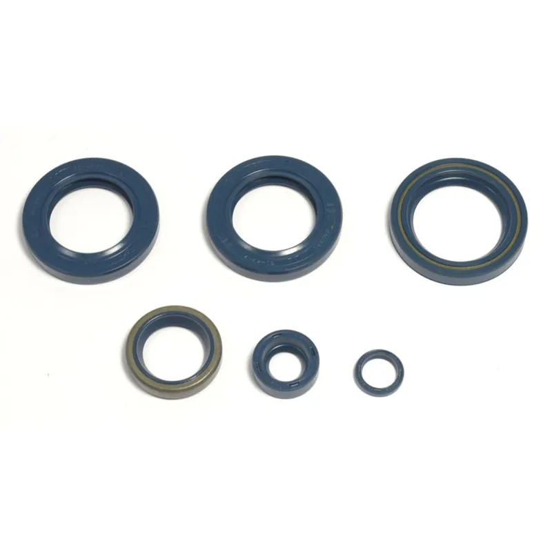 Engine seal kit - P400270400051 Bestpreis