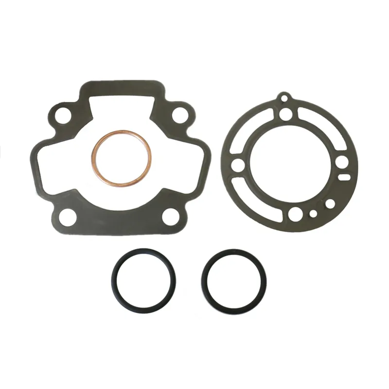 Saisonangebot Juego de juntas de alta gama Big Bore - P400250160007