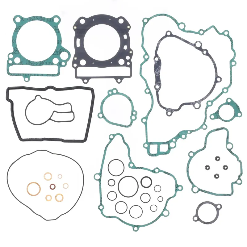 Complete engine seal kit - P400270850016 Geprüft