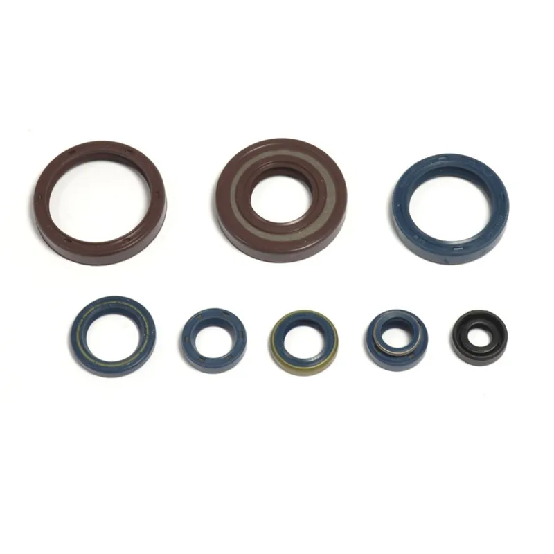 Kit de junta de estanqueidad del motor - P400220400128 Sonderaktion