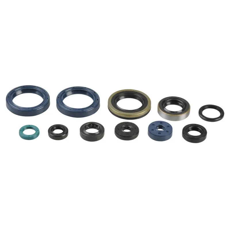 Sofort Bestellen Engine seal kit - P400250400016
