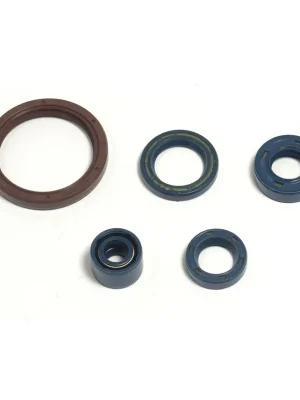 Kracherpreis Engine seal kit - P400220400255