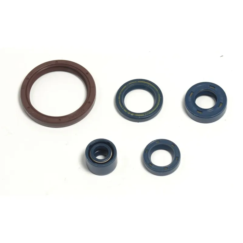 Kracherpreis Engine seal kit - P400220400255