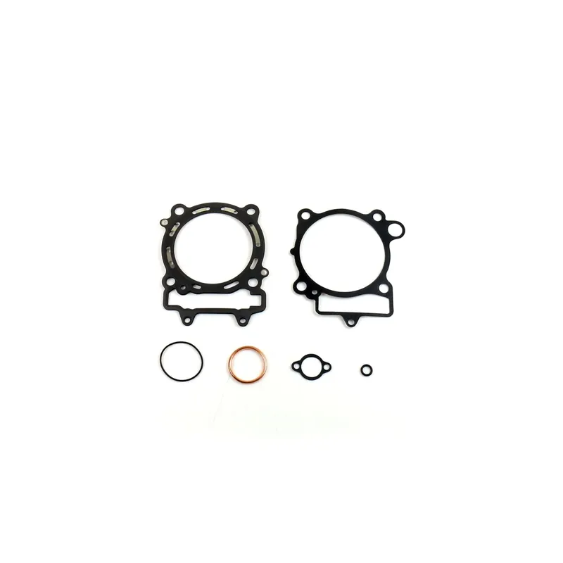 Mega-Angebot Conjunto de juntas de alta qualidade para Big Bore - P400250160014