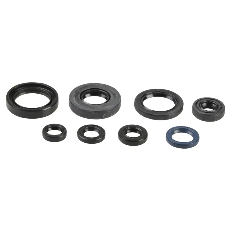 Kit de anéis de vedação do motor - P400485400045 Abverkauf