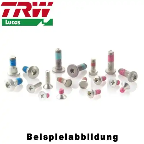Bremsscheiben Montageschrauben TRW / Lucas MSS134-3 Versand Am Gleichen Tag